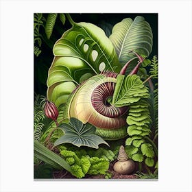 Garden Snail In Shaded Area Botanical Canvas Print