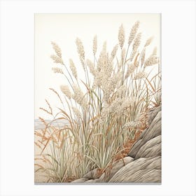 Fujibakama Japanese Silver Grass 3 Vintage Japanese Botanical Canvas Print