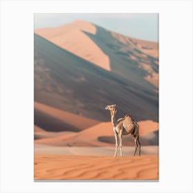 Camel In The Desert 2 Canvas Print