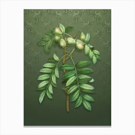 Vintage Service Tree Botanical on Lunar Green Pattern n.1025 Canvas Print