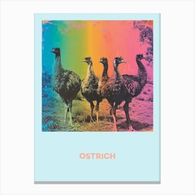 Ostrich Rainbow Poster 4 Canvas Print
