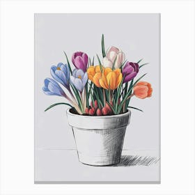 Crocuses In A Pot 2 Canvas Print