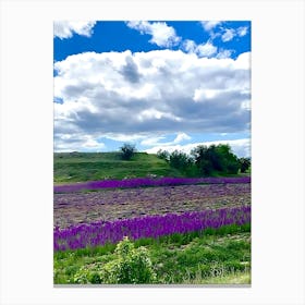 Lavender Field 8 Canvas Print