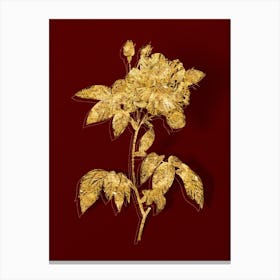 Vintage French Rosebush with Variegated Flowers Botanical in Gold on Red n.0399 Canvas Print