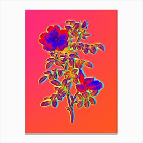 Neon Red Sweetbriar Rose Botanical in Hot Pink and Electric Blue n.0047 Canvas Print