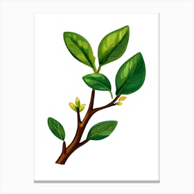 Vector Illustration Of A Tree Branch Canvas Print