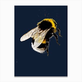 The Bee On Midnight Blue Canvas Print