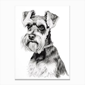 Miniature Schnauzer Dog, Line Drawing 2 Canvas Print