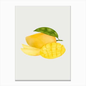 Mangoes Canvas Print