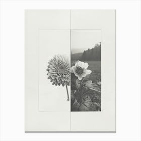 Chrysanthemum Flower Photo Collage 1 Canvas Print