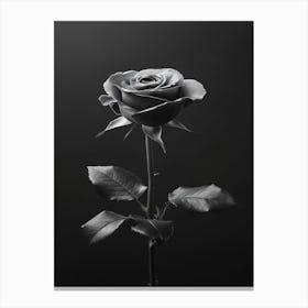 Black And White Rose 3 Canvas Print