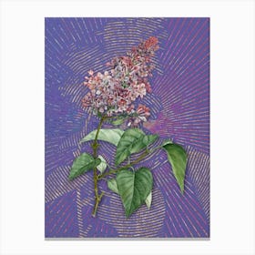 Vintage Common Pink Lilac Plant Botanical Illustration on Veri Peri n.0264 Canvas Print