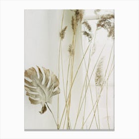 Dry Grass Canvas Print