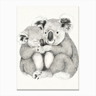 Koalas Canvas Print