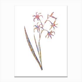 Stained Glass Gladiolus Cuspidatus Mosaic Botanical Illustration on White Canvas Print
