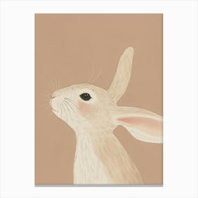 Rabbit, Nursery Wall Art for Kids Canvas Print