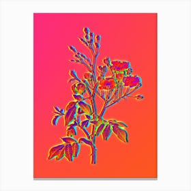 Neon Pink Noisette Roses Botanical in Hot Pink and Electric Blue Canvas Print