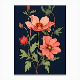 Cosmos 17 Canvas Print