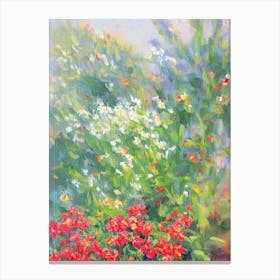 Blackberry Lily 2 Impressionist Painting Plant Canvas Print