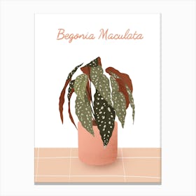 Maculata Canvas Print