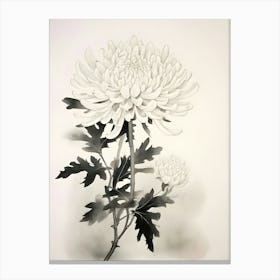 Chrysanthemum 6 Canvas Print