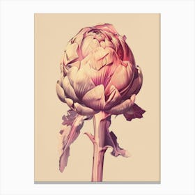 Artichoke 4 Canvas Print