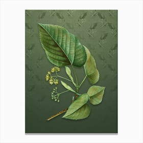 Vintage Linden Tree Botanical on Lunar Green Pattern n.0894 Canvas Print