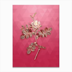Vintage Pink Sweetbriar Rose Botanical in Gold on Viva Magenta n.0027 Canvas Print
