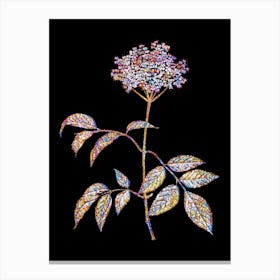 Stained Glass Elderflower Tree Mosaic Botanical Illustration on Black n.0214 Canvas Print