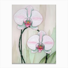 Orchids 5 Canvas Print