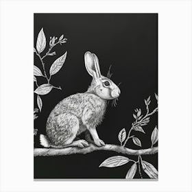 Himalayan Rabbit Minimalist Illustration 4 Canvas Print