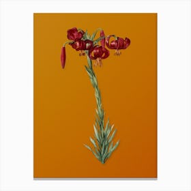 Vintage Lily Botanical on Sunset Orange n.0203 Canvas Print