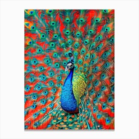 Peacock Yayoi Kusama Style Illustration Bird Canvas Print