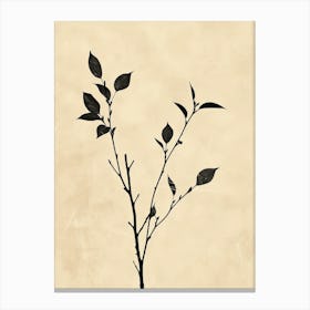 Bangkok Flower Market Boho Minimalist Style Canvas Print