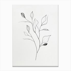 Leaves Of A Tree Canvas Print