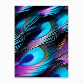 Peacock Feathers 2 Canvas Print