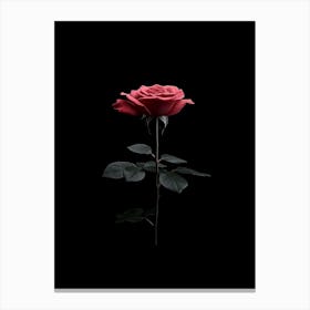 Single Rose On Black Background 21 Canvas Print