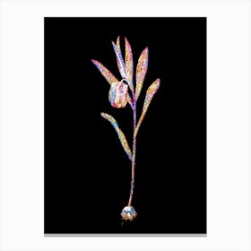 Stained Glass Fritillaria Latifolia Mosaic Botanical Illustration on Black n.0043 Canvas Print