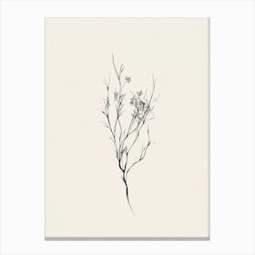 Branch Of Flowers Canvas Print