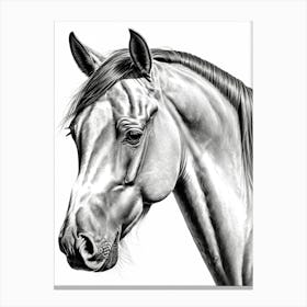 Highly Detailed Pencil Sketch Portrait of Horse with Soulful Eyes 13 Canvas Print