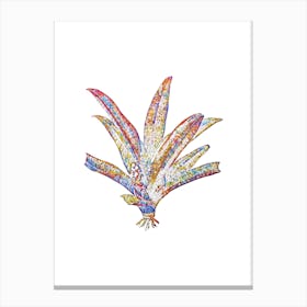 Stained Glass Boat Lily Mosaic Botanical Illustration on White n.0125 Canvas Print
