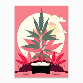 Marijuana Plant In A Pot, cannabis Canvas Print