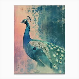 Vintage Pink & Turquoise Peacock Cyanotype Inspired Canvas Print