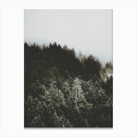 Moody Forest Trees Canvas Print