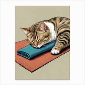 Cat Sleeping On Yoga Mat Canvas Print