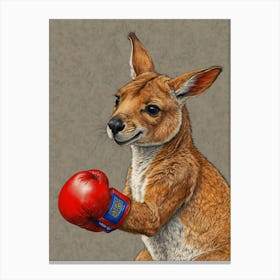 Kangaroo Boxing 7 Canvas Print