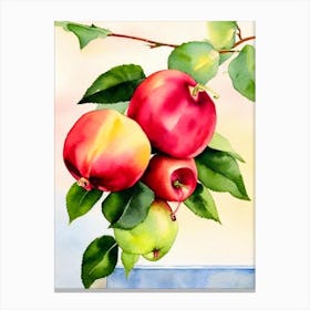 Rose Apple Italian Watercolour fruit Canvas Print
