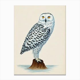 Snowy Owl Illustration Bird Canvas Print