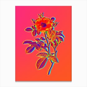 Neon Red Portland Rose Botanical in Hot Pink and Electric Blue n.0365 Canvas Print