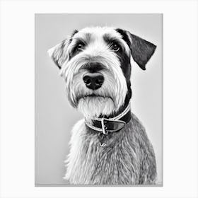 Standard Schnauzer B&W Pencil dog Canvas Print